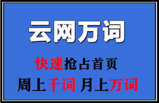 牛推家园 上海SEO优化与网络推广外包的优质品牌
